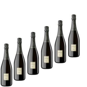 6 bottiglie Spumante Franciacorta Ferghettina Brut 75 cl