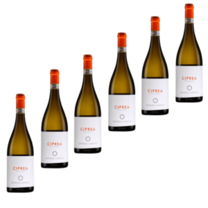 6 bottiglie Vino Ciprea Pecorino Simone Capecci 75 cl