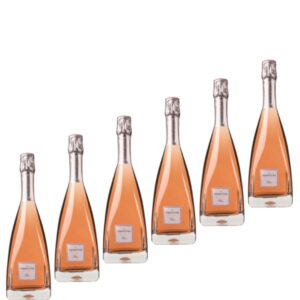 6 Bottiglie Spumante Franciacorta Ferghettina Rosè 75 cl